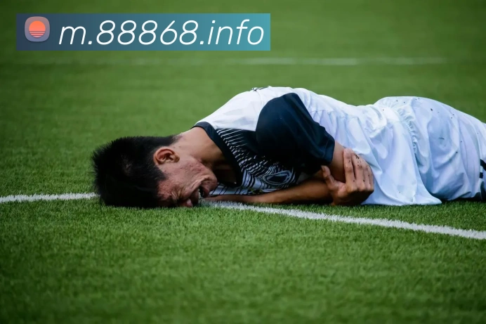 8868体育全站App